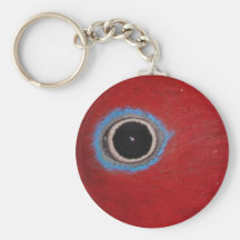 Llavero vigilante del ojo