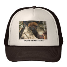 Lléveme a su líder gorros  