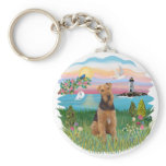 LLight House - Airedale