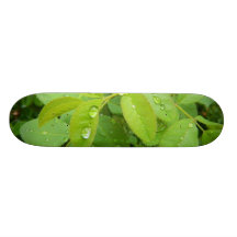 Lluvia del verano en las plantas patineta personalizada