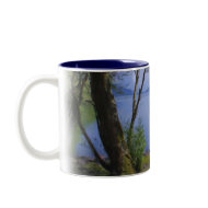 Llyn Padarn 4 mug