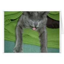 LMAO Laughing Russian Blue Card