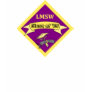LMSW Social Worker T-shirts and Gifts