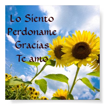 perdon perdon