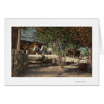Loading Fruit at Longview Ranch cards