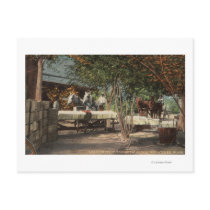 Loading Fruit at Longview Ranch Post Cards