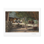 Loading Fruit at Longview Ranch Post Cards
