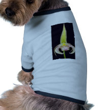 Lobbii (Bulbophyllum) flowers Doggie Shirt