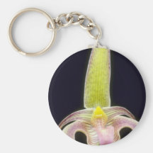 Lobbii (Bulbophyllum) flowers Key Chain