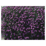 Lobelia bush custom flyer