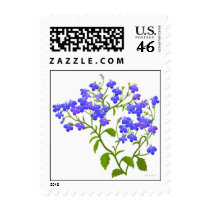 Lobelia Garden Flowers Postage postage by twopurringcats Lobelia Garden Flowers Postage postage
