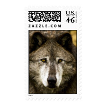 Lobo conmovedor sellos