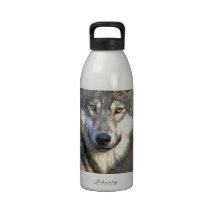lobo gris del timberwolf botellas de beber
