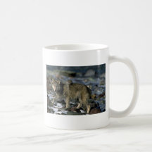 Lobo gris que forrajea a lo largo del río helado tazas de café