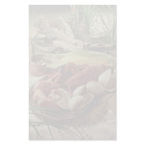 Lobster bake stationery