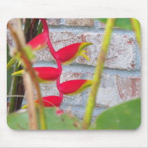 Lobster Claw Flower Heliconia Rostrata Mouse Pad