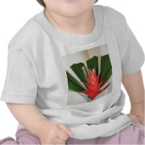 Lobster claw Heliconia flower baby T shirt