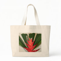 Lobster claw Heliconia flower bags