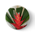 Lobster claw Heliconia flower Buttons
