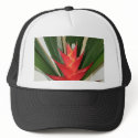 Lobster claw Heliconia flower hats