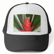 Lobster claw Heliconia flower hats