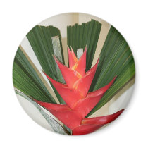 Lobster claw Heliconia flower magnets