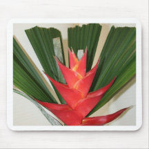 Lobster claw Heliconia flower Mouse Mat