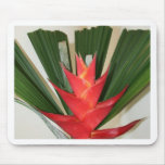 Lobster claw Heliconia flower Mouse Mat
