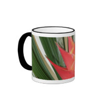 Lobster claw Heliconia flower Mug