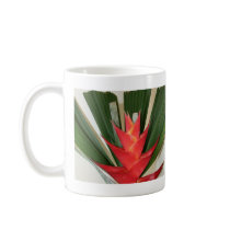 Lobster claw Heliconia flower mugs