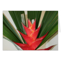 Lobster claw Heliconia flower post Card
