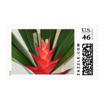 Lobster claw Heliconia flower postage