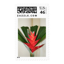 Lobster claw Heliconia flower postage