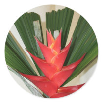 Lobster claw Heliconia flower Sticker