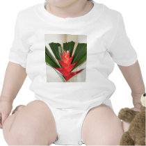 Lobster claw Heliconia flower t-shirts