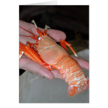 Lobster Infant Greeting Card