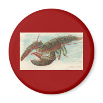 Lobster magnets