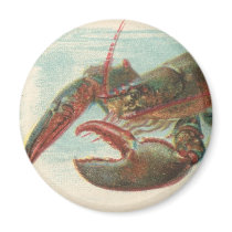 Lobster magnets