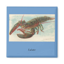 Lobster magnets