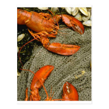 Lobsters Postcards