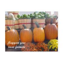 Local Farmers postcards
