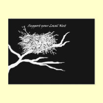 Local Nest on Black postcards