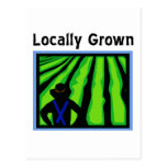 Locally Grown Postcards