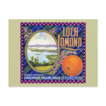 Loch Lomond Orange Flower Post Card