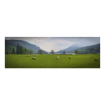 Loch Oich Sheep Art Photo