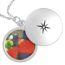 Locket - modificado para requisitos particulares collares