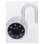 LockOpen072509 Flyer