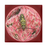 Locust Borer 3 ~ magnet