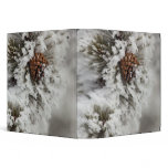 Lodgepole Pine cone in winter in Yellowstone binders
