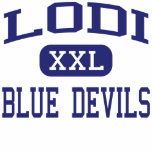 Lodi Blue Devils Area Lodi Wisconsin